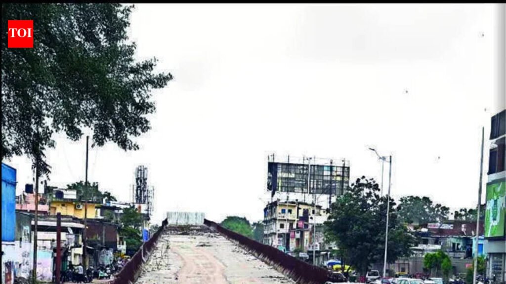 Naroda Patiya flyover project delayed by a year | Ahmedabad News