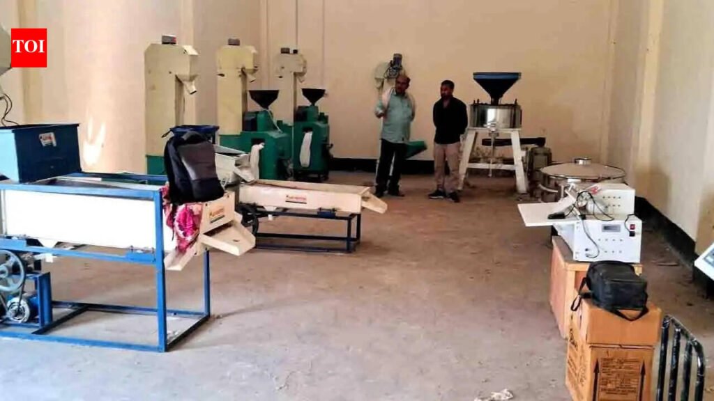 Sangam City gets first millet processing centre in Chhata | Prayagraj News