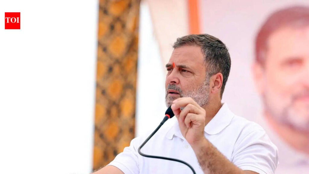 Despite rift, Rahul Gandhi says DMK with oppn on ‘idea of India’ | India News