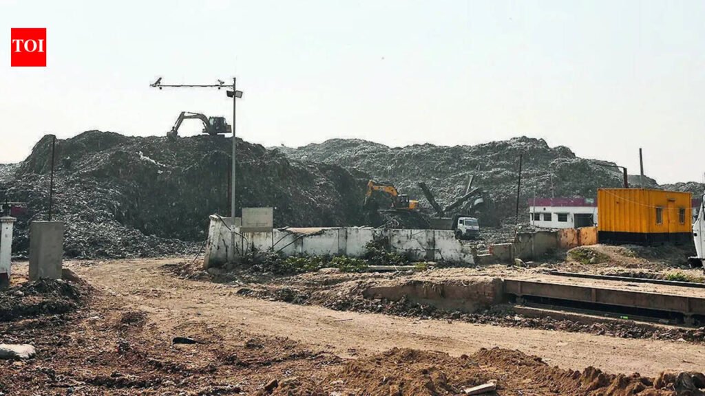 Panel set up to find new site for daily waste dumping in Gurgaon | Gurgaon News
