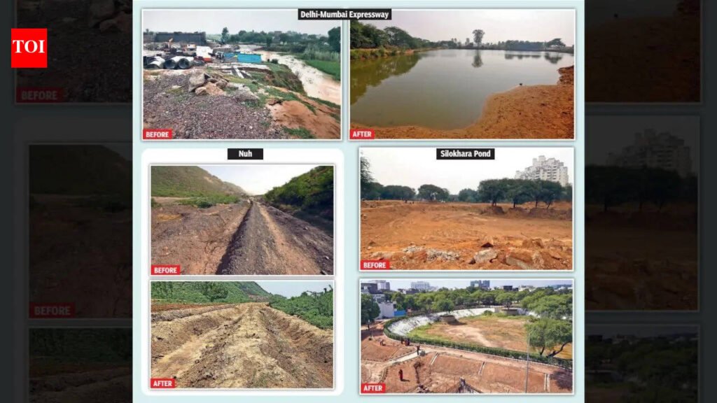 Why Haryana citizen warriors lead fight to protect environment instead of state | Gurgaon News