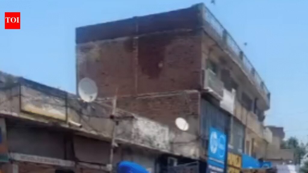 Ludhiana’s Atam Nagar MLA Kulwant Singh Sidhu targeted on stray dog feeding limits. | Ludhiana News