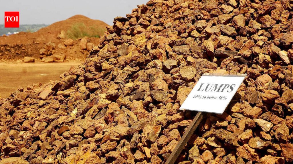 Goa eyes critical mineral recovery from iron ore dumps | Goa News