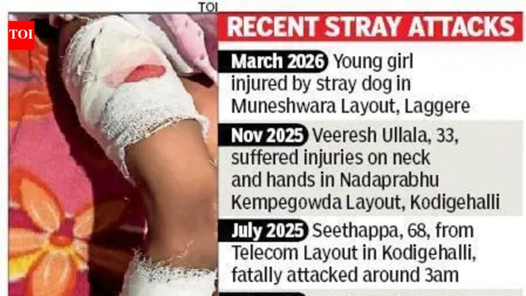 Dogs attack girl, 4, in north Bengaluru; residents demand quick action | Bengaluru News