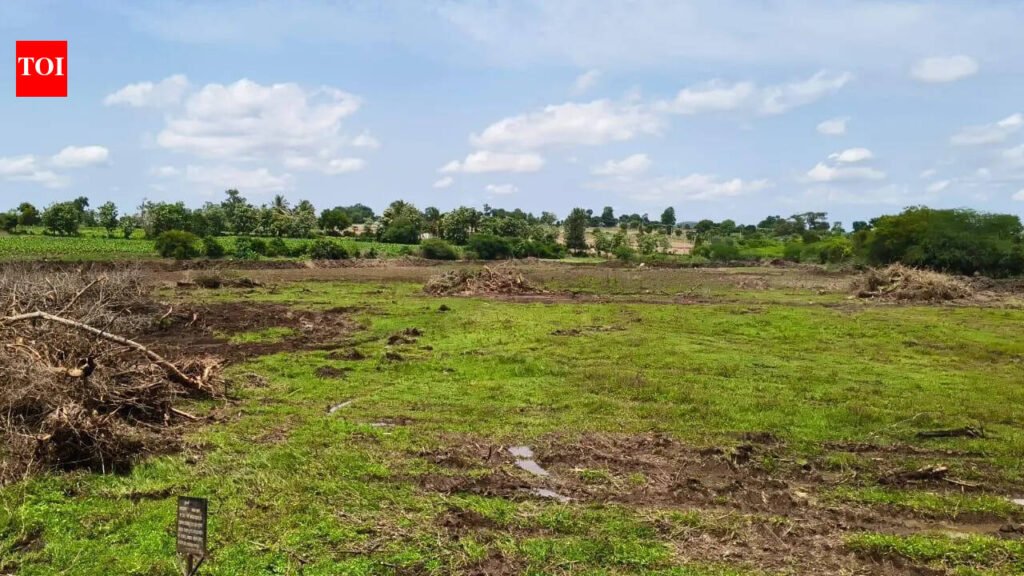 Tribal belt in Saraguru taluk to get 100-bed hospital | Mysuru News