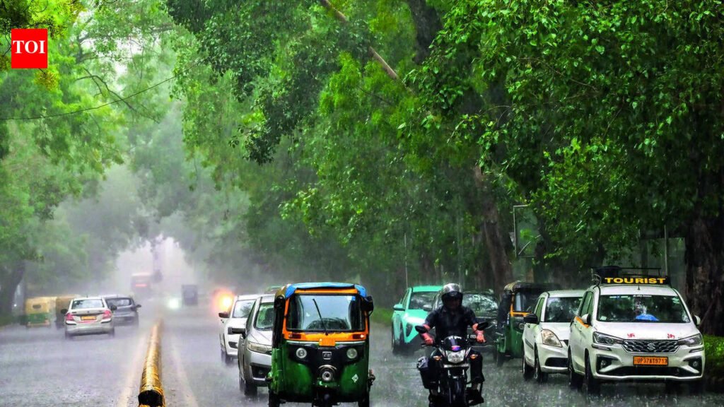 Short spells of rain lower Delhi temperatures; IMD predicts continued relief | Delhi News