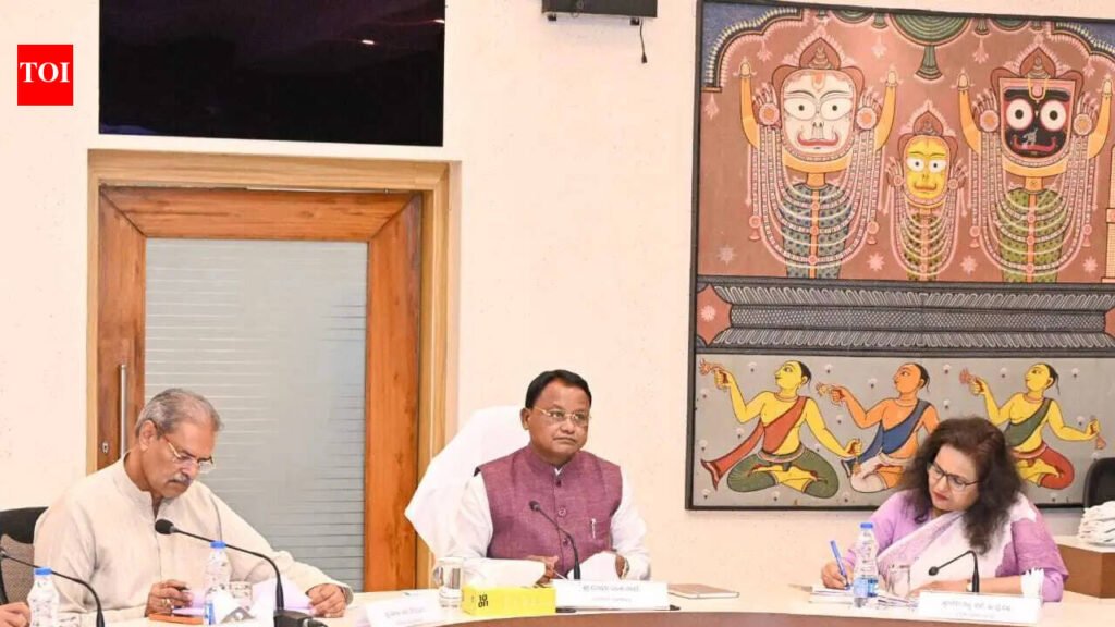 Lab diamond to rare earth: 20 projects worth Rs 76k-cr cleared | Bhubaneswar News