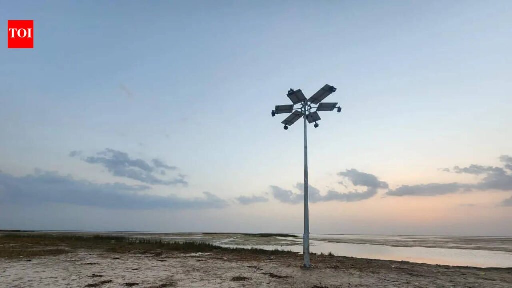 Too bright for birds? Floodlights at Nalsarovar spark fears for wildlife | Ahmedabad News