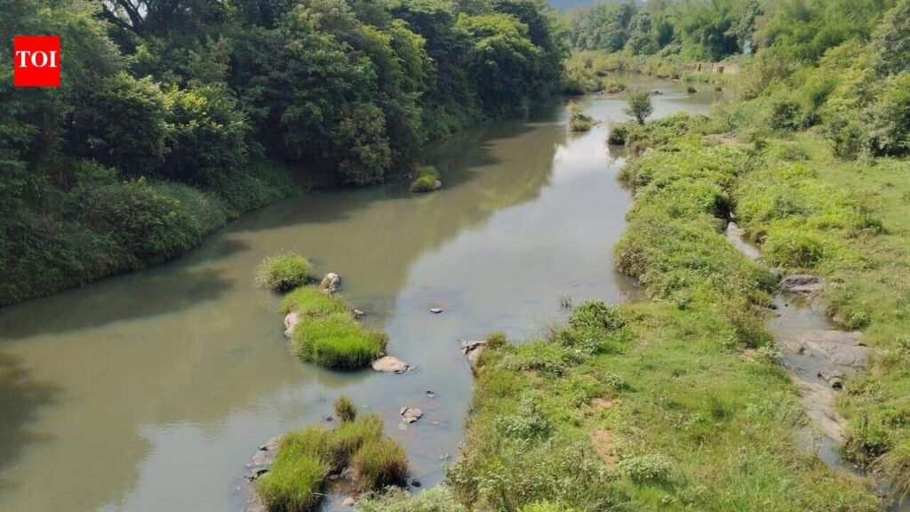Kodagu farmers reel as weak monsoon delays crop cycle | Mysuru News