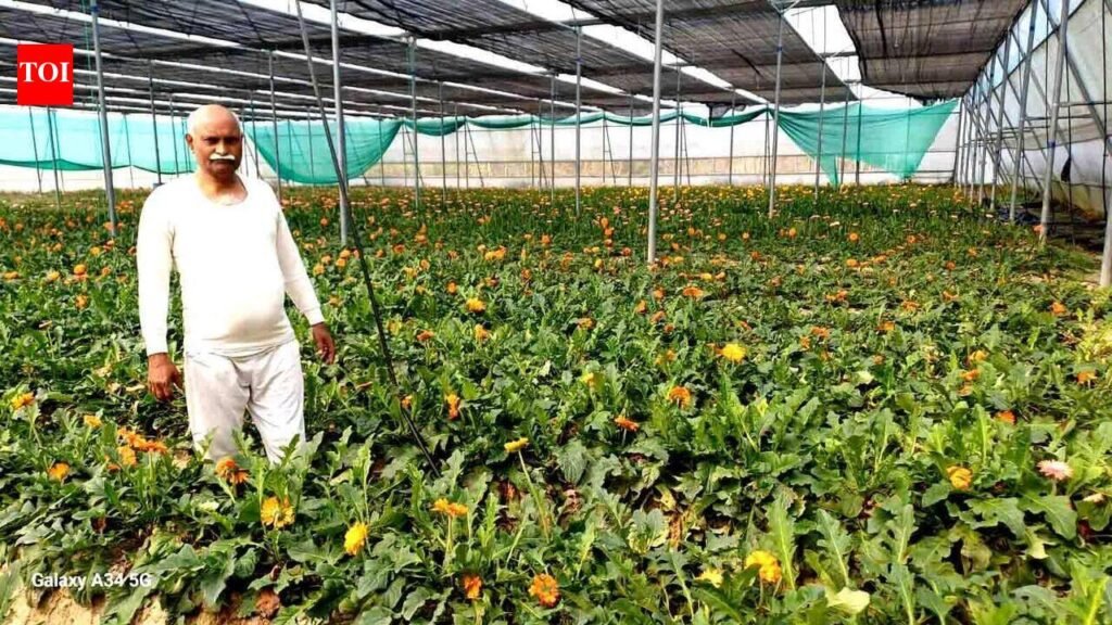 ‘Jai Jawan-Jai Kisan’ in action: Ex-army officer converts wasteland into flourishing farm | Prayagraj News