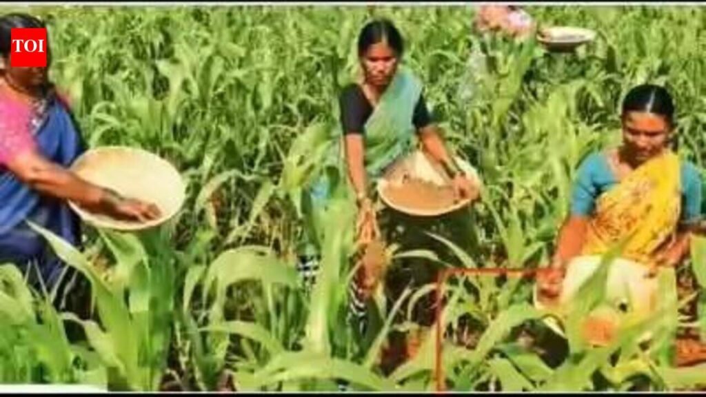 Maharashtra sets up three committees on farm waiver | Mumbai News
