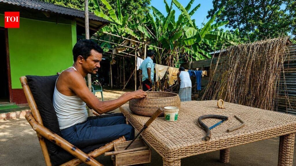MSU study offers relief for Assam’s Bamboo Artisans through ergonomic workstation | Vadodara News