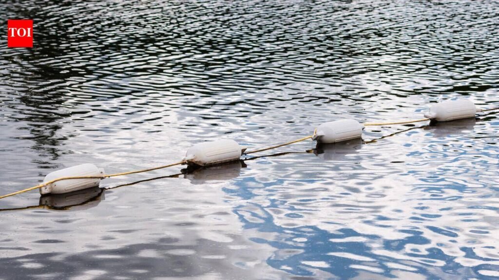 Ludhiana man, female friend jump into Neelon Canal to avoid her family; pulled out and thrashed again. | Ludhiana News