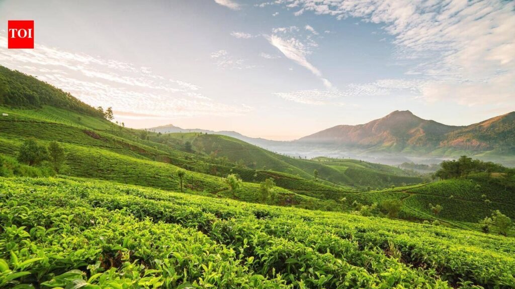 Kerala Budget: Land Reforms 2.0 on the cards | Thiruvananthapuram News