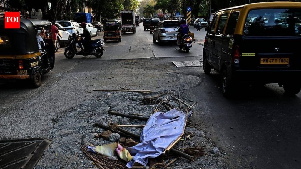 Ahead of monsoon, BMC orders 24-hr pothole fix | Mumbai News