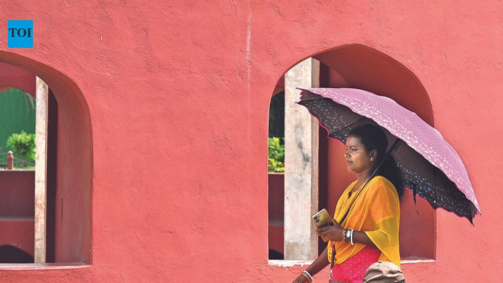 Heat index rises, humidity sustains | Delhi News