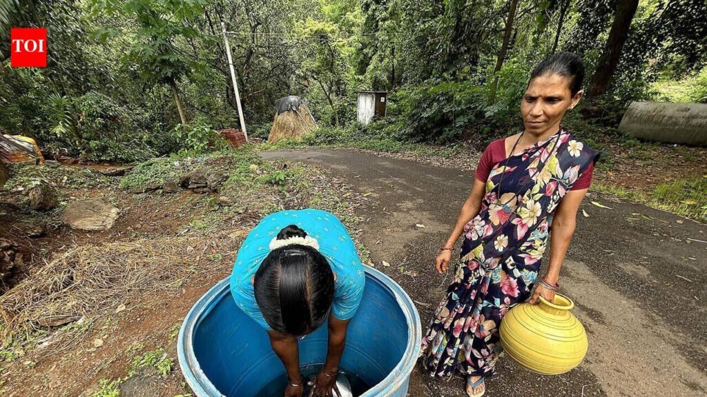 In green Canacona, women still walk miles for water, others wait for tankers | Goa News