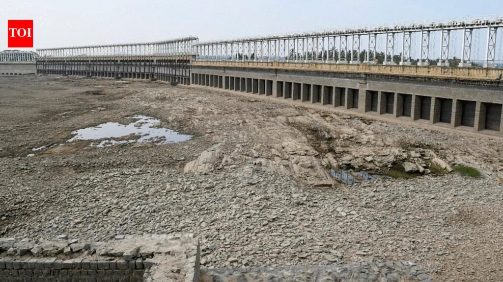Water in 166 major reservoirs dips to 28% of storage capacity | India News