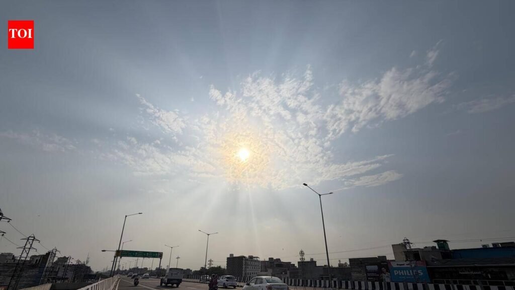 Drizzle’s cooling hand upon Ludhiana’s heart. | Ludhiana News