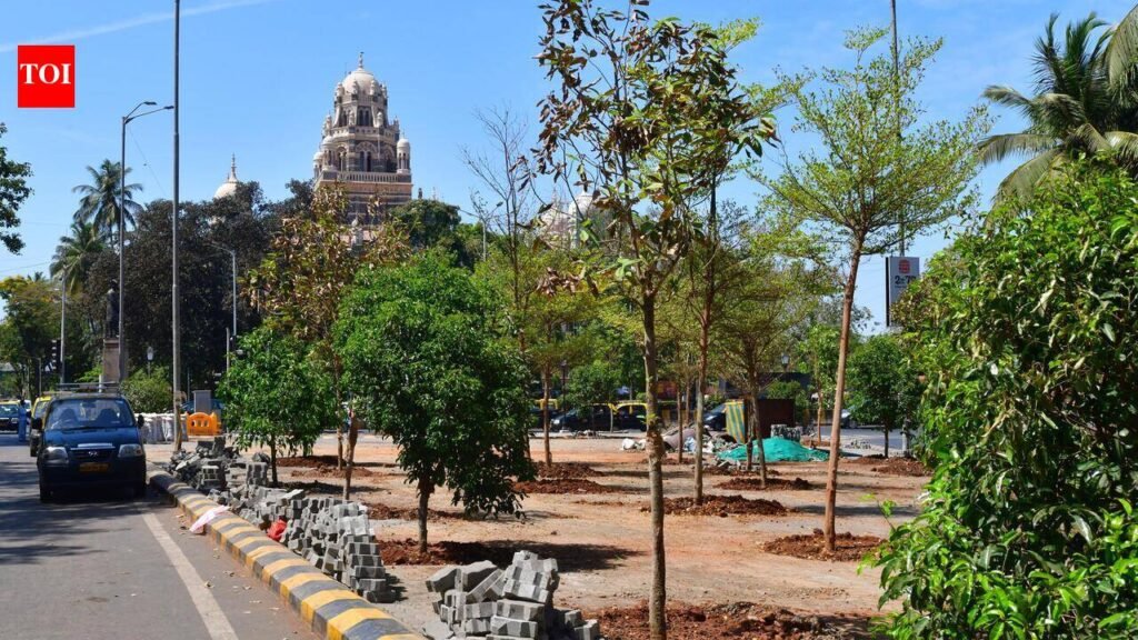 Calls for in-city replantation intensify as tree-cutting proposals for major Mumbai projects come up for sanction at BMC’s Tree Authority meeting | Mumbai News