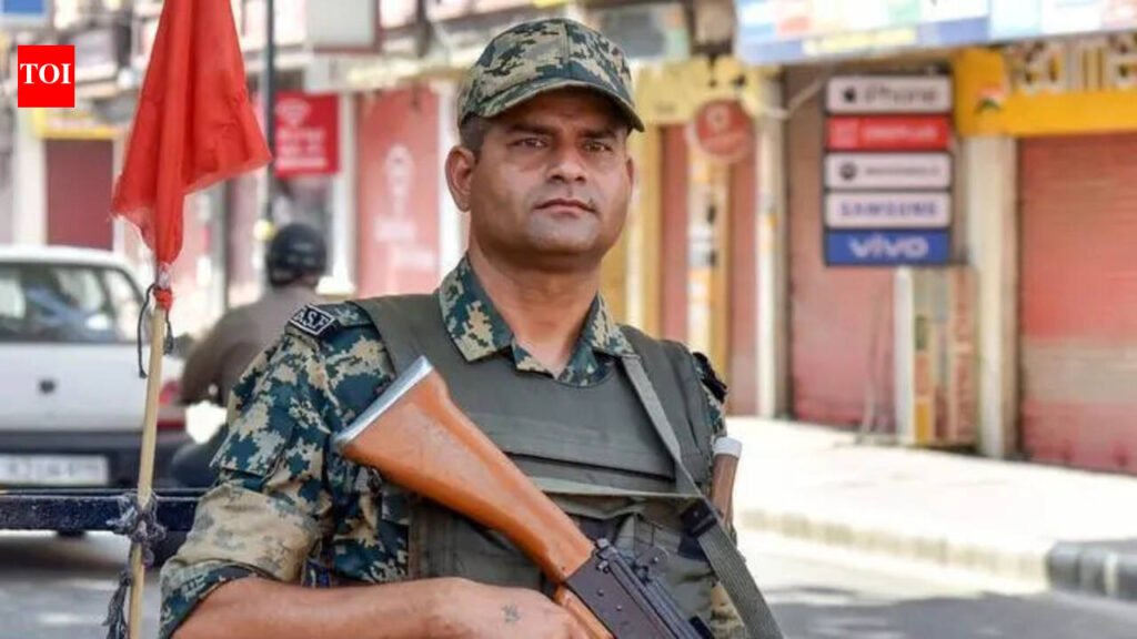 BSF busts major arms haul in Punjab, AK rifle, 25 pistols seized | Chandigarh News