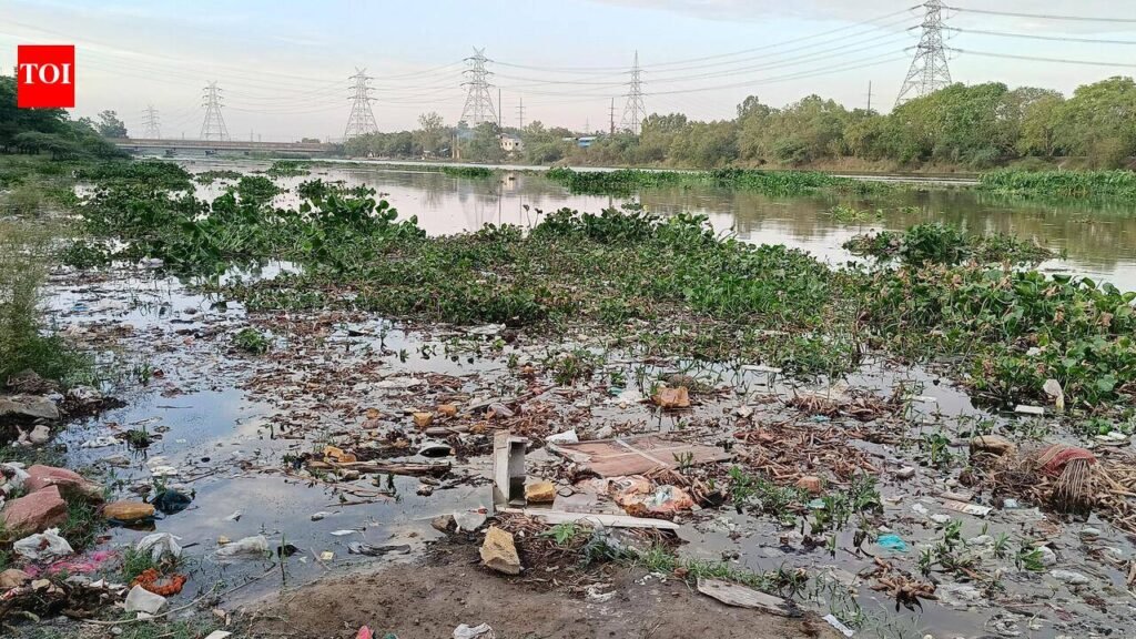 After crackdown on 250 Yamuna factories, Hindon polluters under scanner in Ghaziabad | Noida News