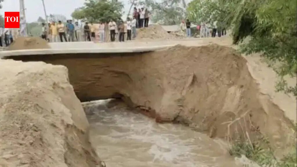 Twice in 5 days, breach inundates over 100 acres of farm land in Mansa | Chandigarh News