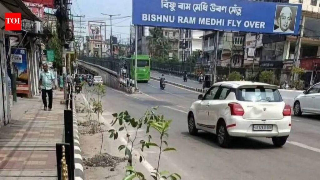 PWD digs roads to plant saplings to welcome Japan PM, irks residents | Guwahati News