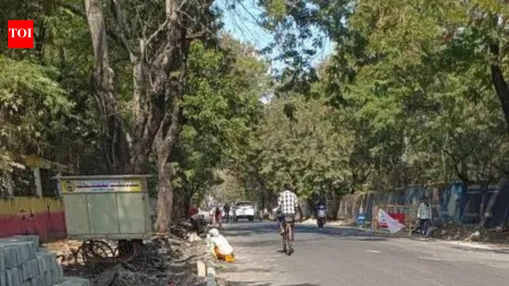 Walkable Street Dream Stalls Rs12Cr Road Project In South-west Nagpur | Nagpur News