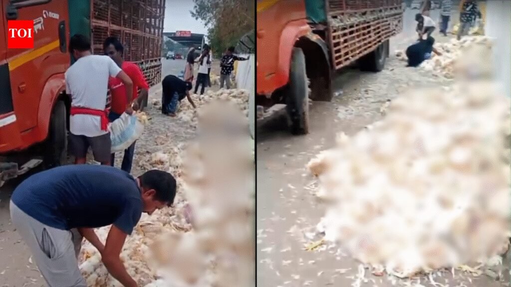 Chicken-laden truck overturns near Rajiv Chowk in Gurgaon | Gurgaon News