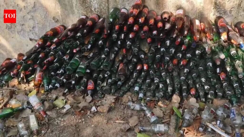 Garbage, liquor bottles mar entry to Chatra’s Maa Kauleshwari temple, devotees raise concern | Ranchi News