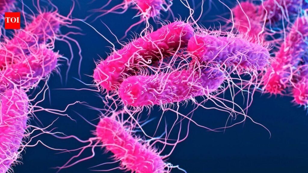 Shigella cases rise in Kerala: Death toll rises to 6, 7 new cases; Nipah situation under control | Thiruvananthapuram News