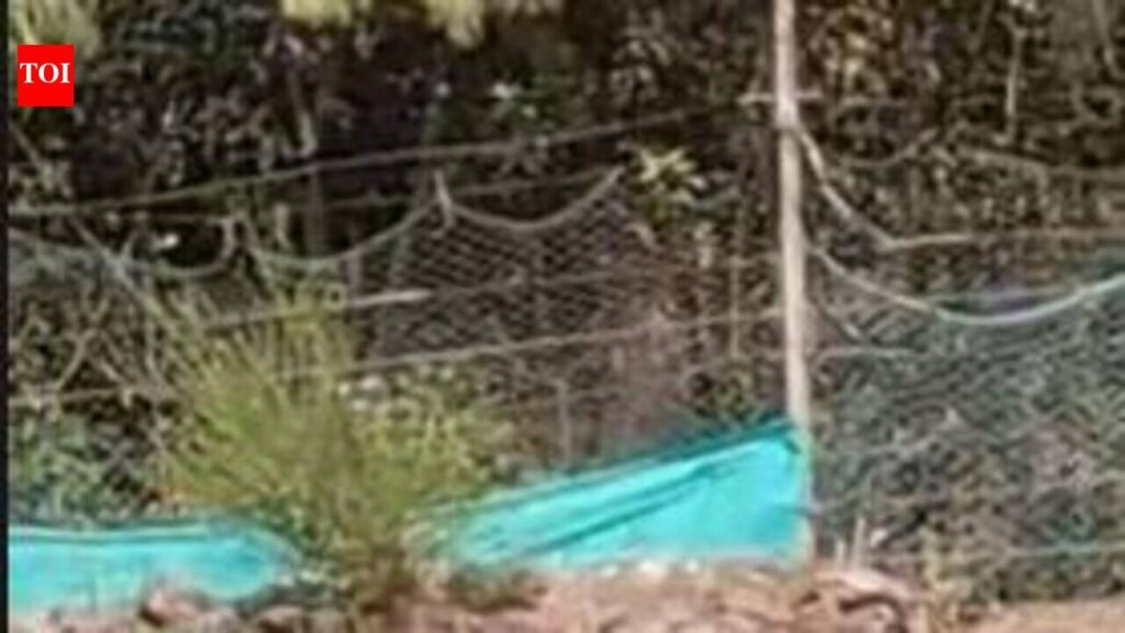 Elephants are heading up Nilgiri hills in Tamil Nadu, and it’s worrying ecologists | Chennai News
