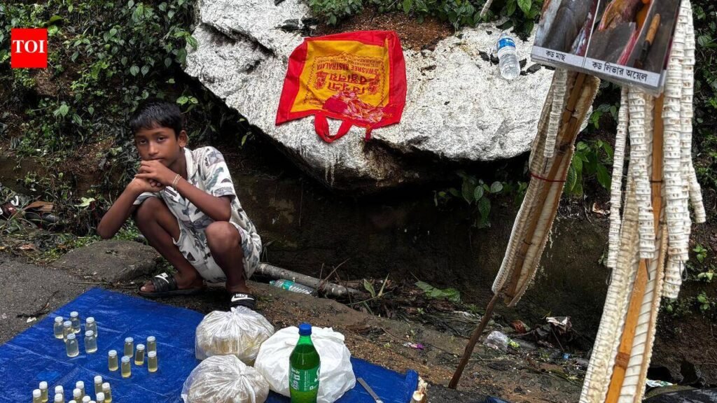 For traders at Ambubachi, the mela is an economic lifeline | Guwahati News