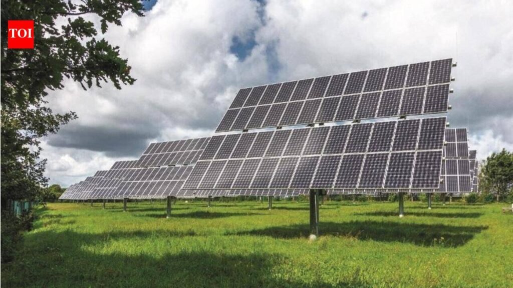 Bihar gets approval to buy 300 MW green power | Patna News