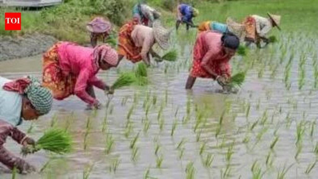 AIADMK, PMK urge govt for full waiver of crop loan | Chennai News