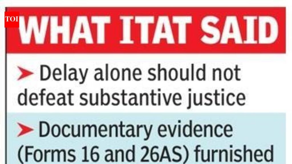 Taxpayer gets second chance despite missed e-verification deadline | Mumbai News