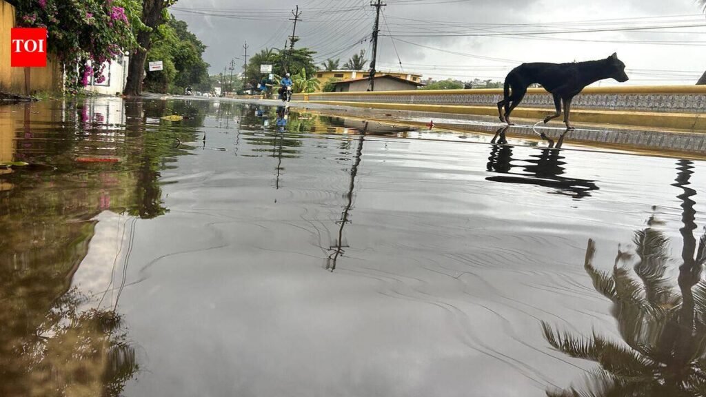 Southwest monsoon revives after 10-day lull | Goa News