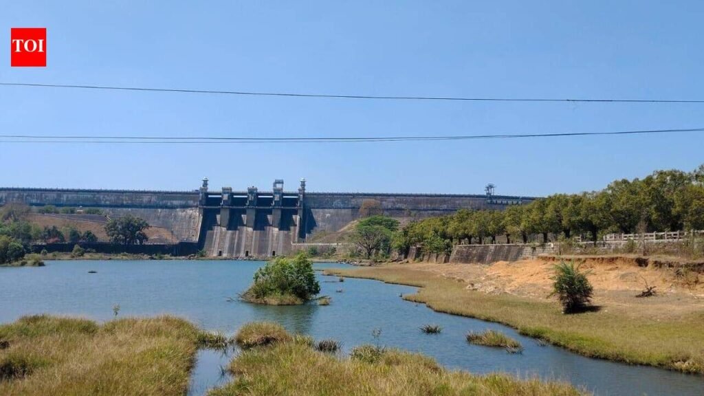 Less rain hits water level in Harangi reservoir | Mysuru News