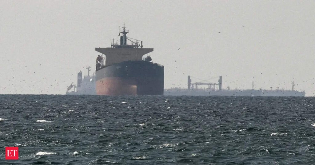 11 India-bound ships transited Strait of Hormuz after US-Iran MoU: MEA
