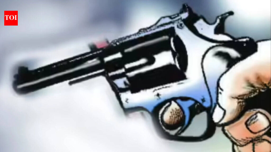 Punjab man shoots aunt, 13-year-old cousin and friend dead before shooting self; land dispute suspected | Chandigarh News