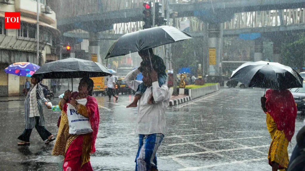 Mumbai rains surge, but lake levels barely move; water stock at 7.94% | Mumbai News