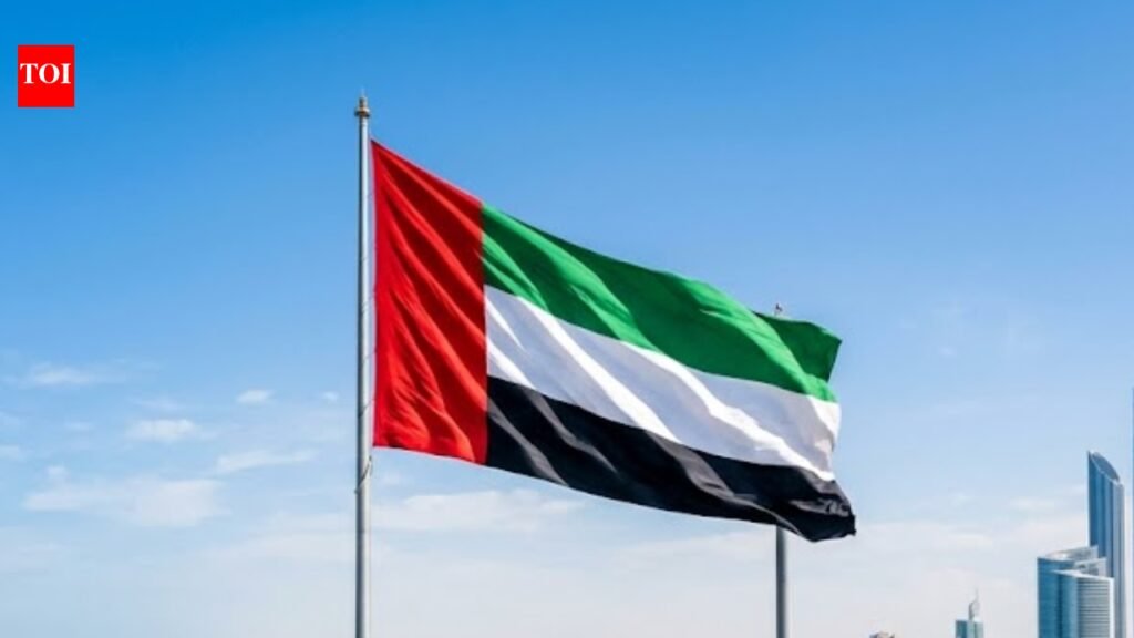 UAE Central Bank fines foreign bank branch AED20 million over anti-money laundering failures | World News
