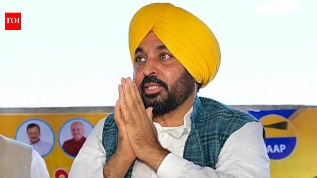 The many layers of Bhagwant Mann ‘sacrilege’ video row: Akal Takht verdict, forensic claims, FIR and political fallout | Chandigarh News