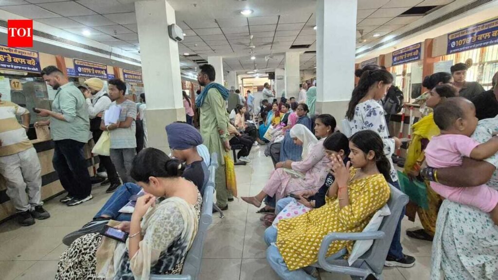 Rock hurled at e-Sewa centre window in Ludhiana as citizen-service portal computers stall. | Ludhiana News