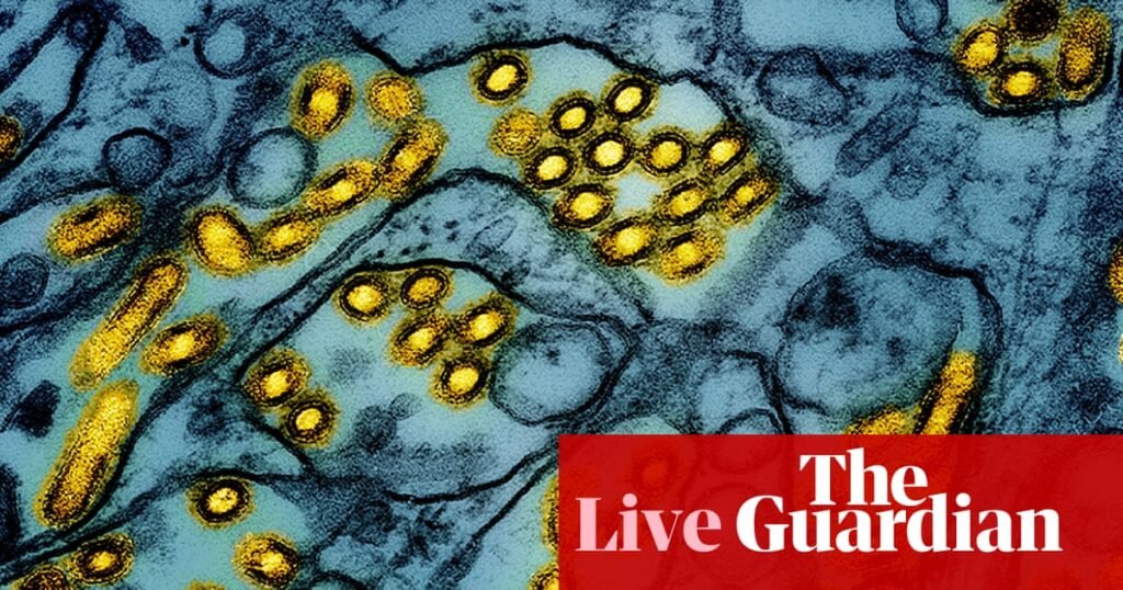 Australia news live: arrival of H5N1 bird flu a ‘genuine wildlife emergency’, experts say; fuel excise rebate extended at reduced rate | Australia news