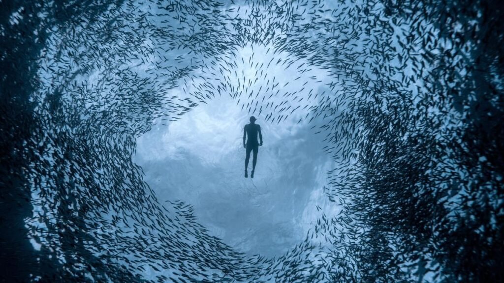 Hyderabad: Freediving workshops introduce the art of diving on a single breath