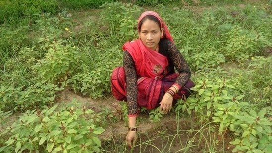 Importance of bio-fertilisers in integrated nutrient management