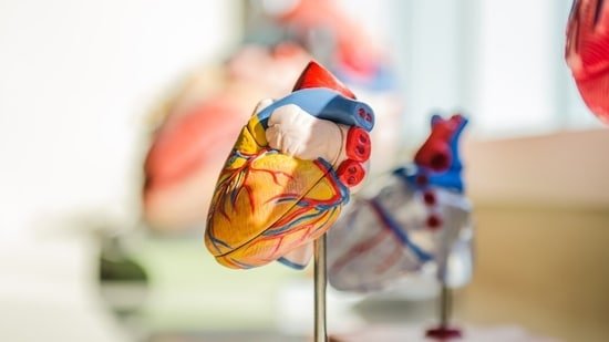 Heart surgeon with 25 years of experience shares a simple at-home test to assess your risk of cardiovascular disease