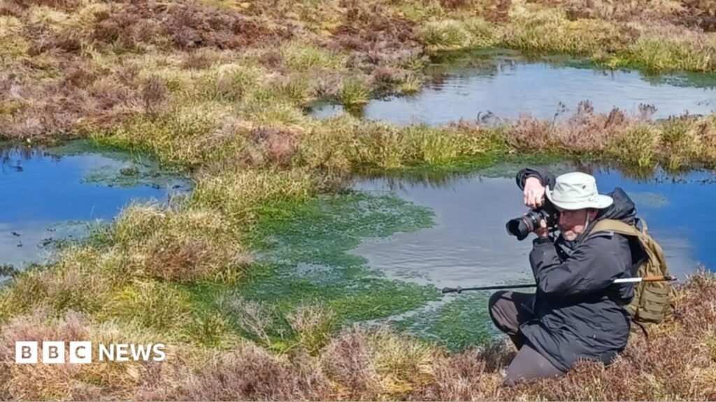 Scientist restoring Wales’ peatlands in climate change fight